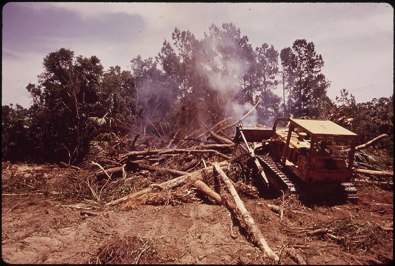 Photo of Seabrook Island