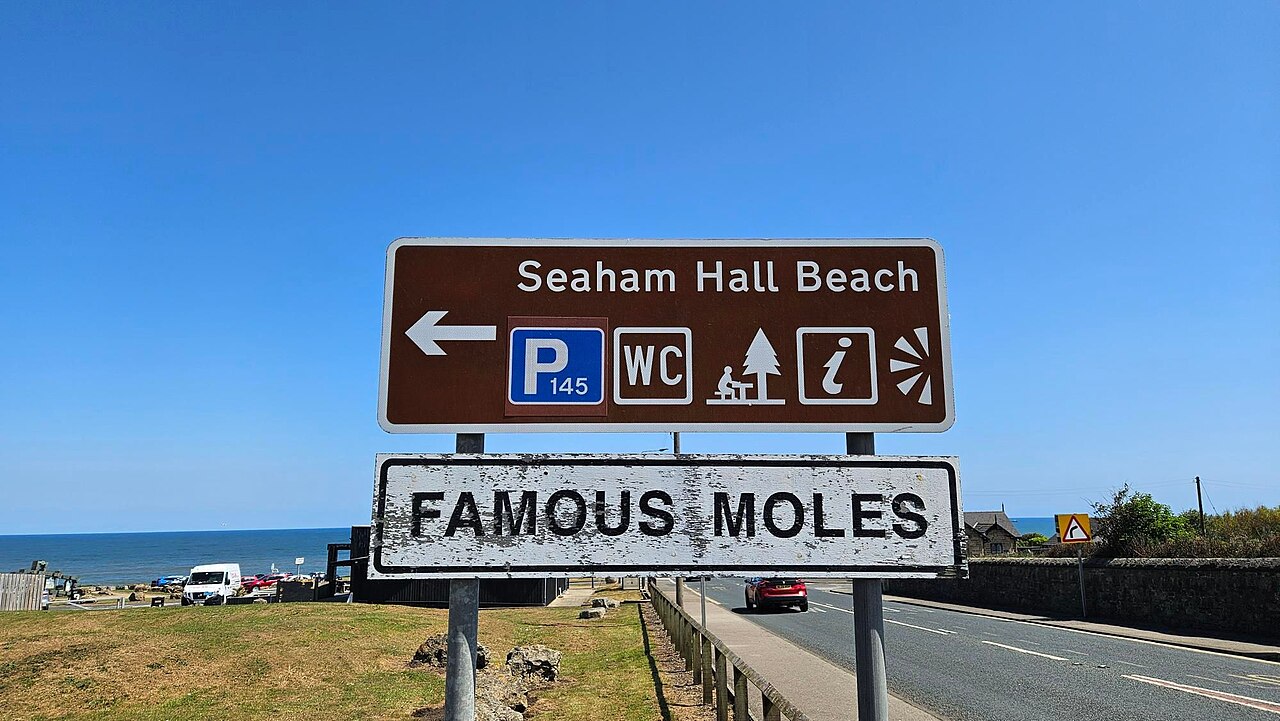 Famous Moles, Mole Sanctuary, Seaham Hall Car Park