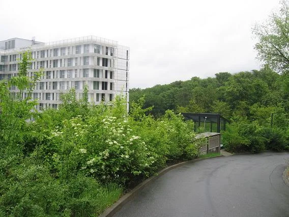 Photo of Seeheim-Jugenheim