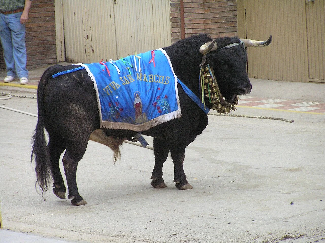 Photo of Segura de Toro