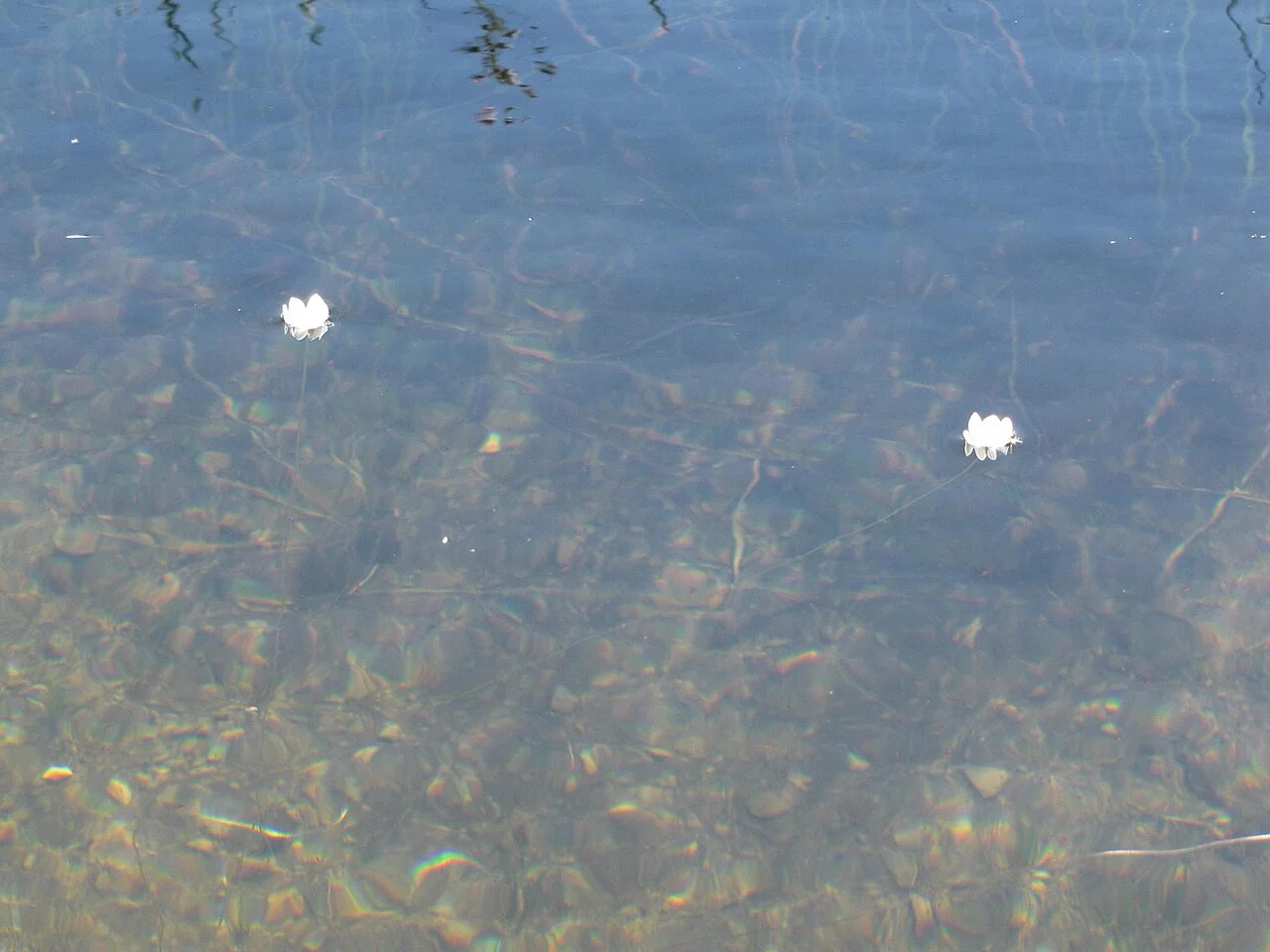 Photo of Sehlabathebe