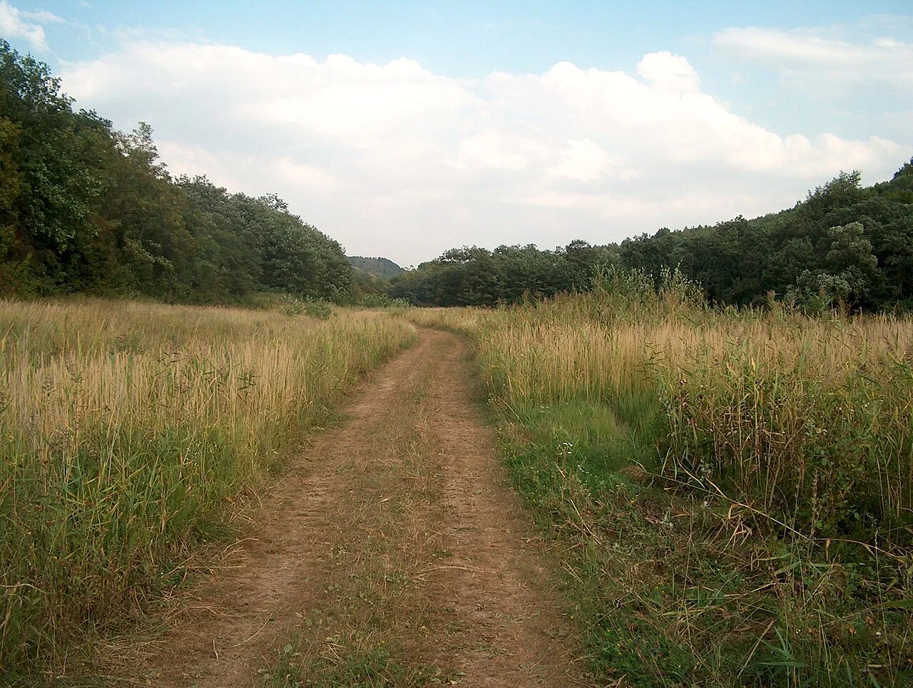 Photo of Şeíca Mare