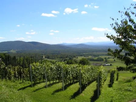 Photo of Sela Žakanjska