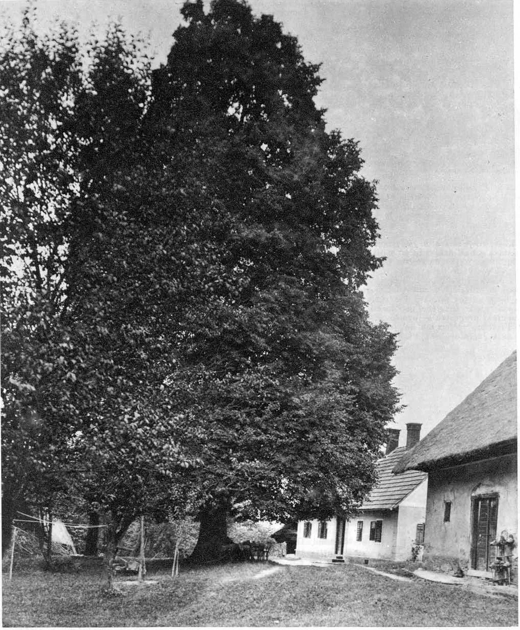 Photo of Selnica ob Muri