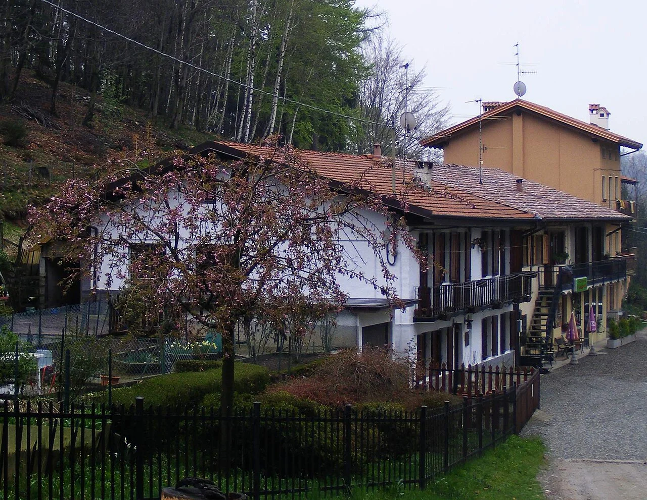 Photo of Selve Marcone