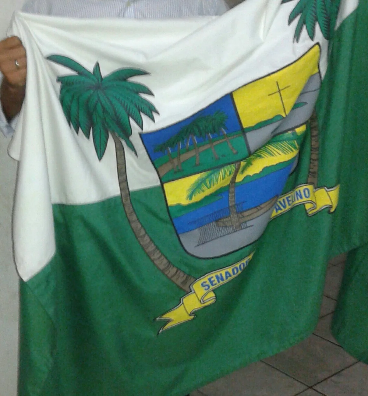 Photo of Senador Georgino Avelino