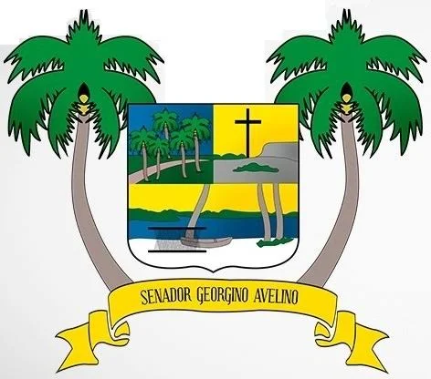 Photo of Senador Georgino Avelino