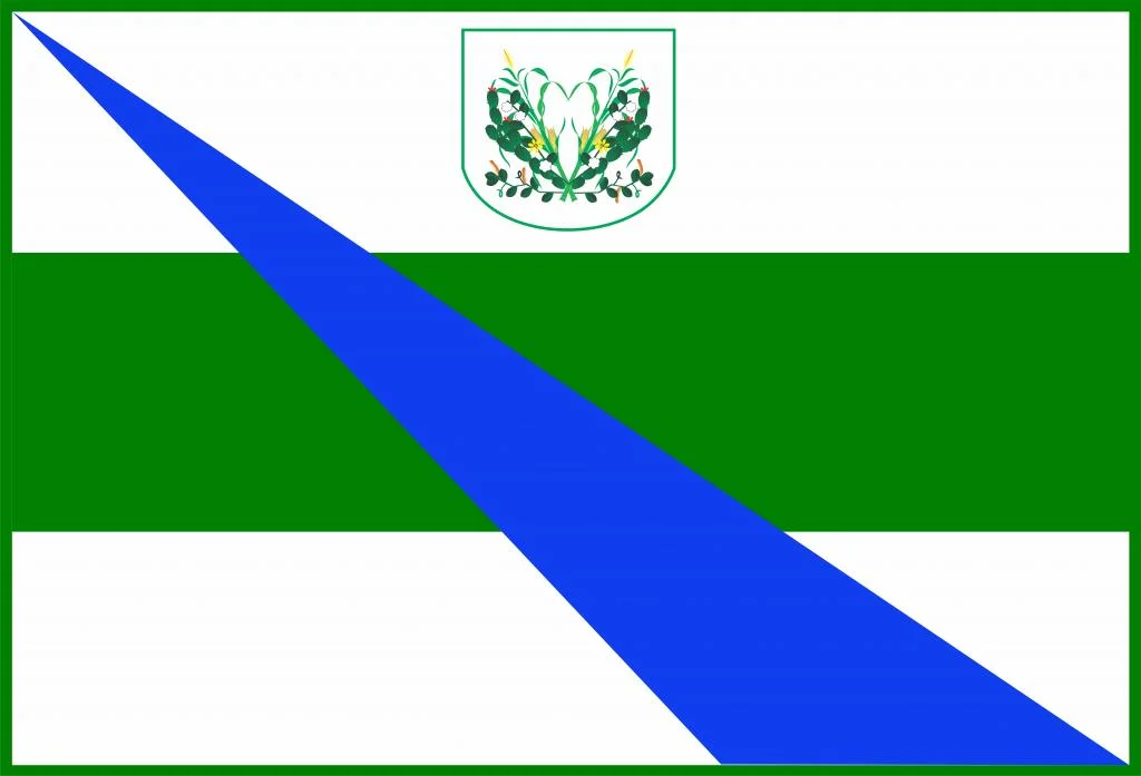 Photo of Senador Rui Palmeira