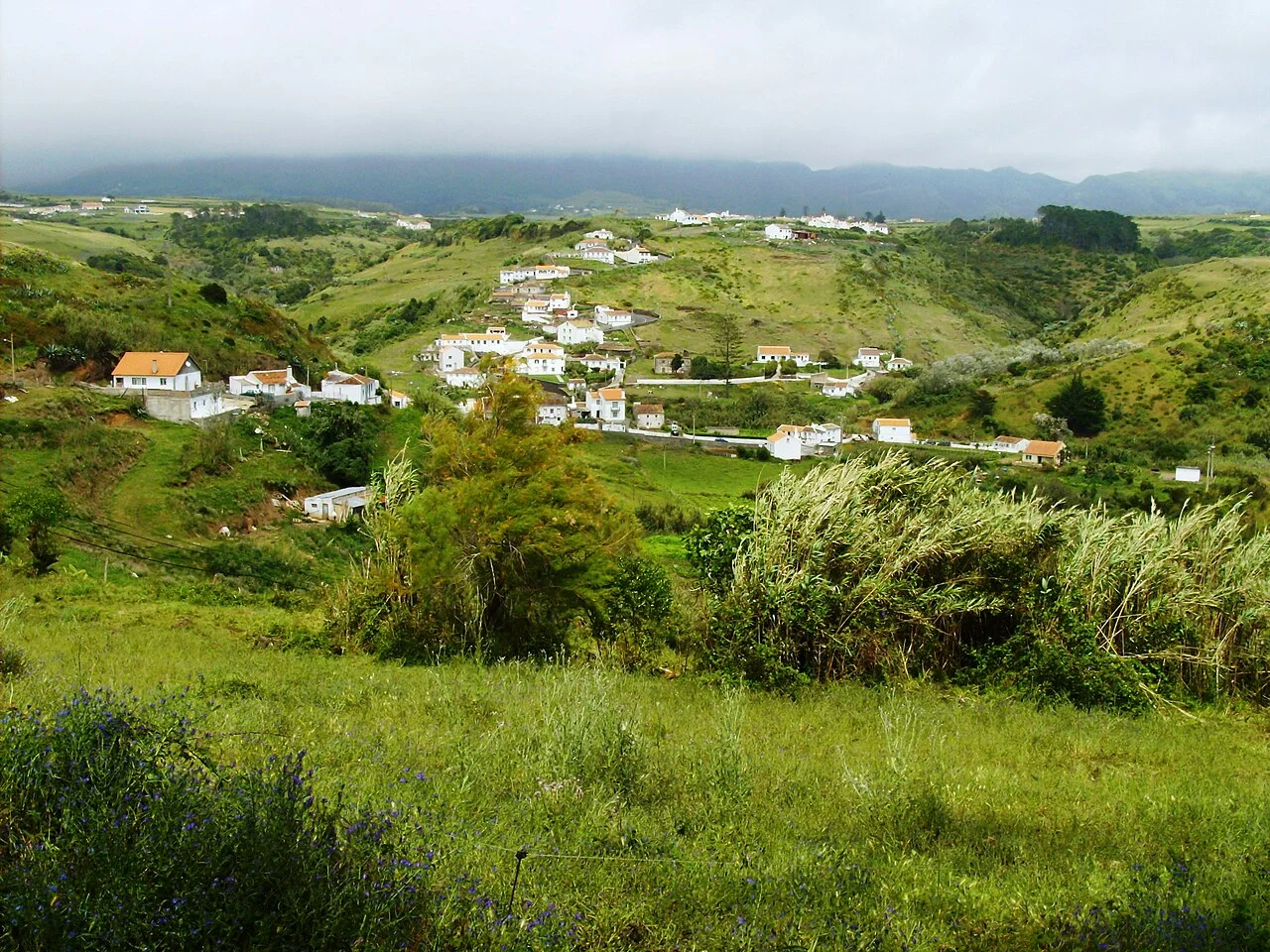 Photo of Senhora do Porto