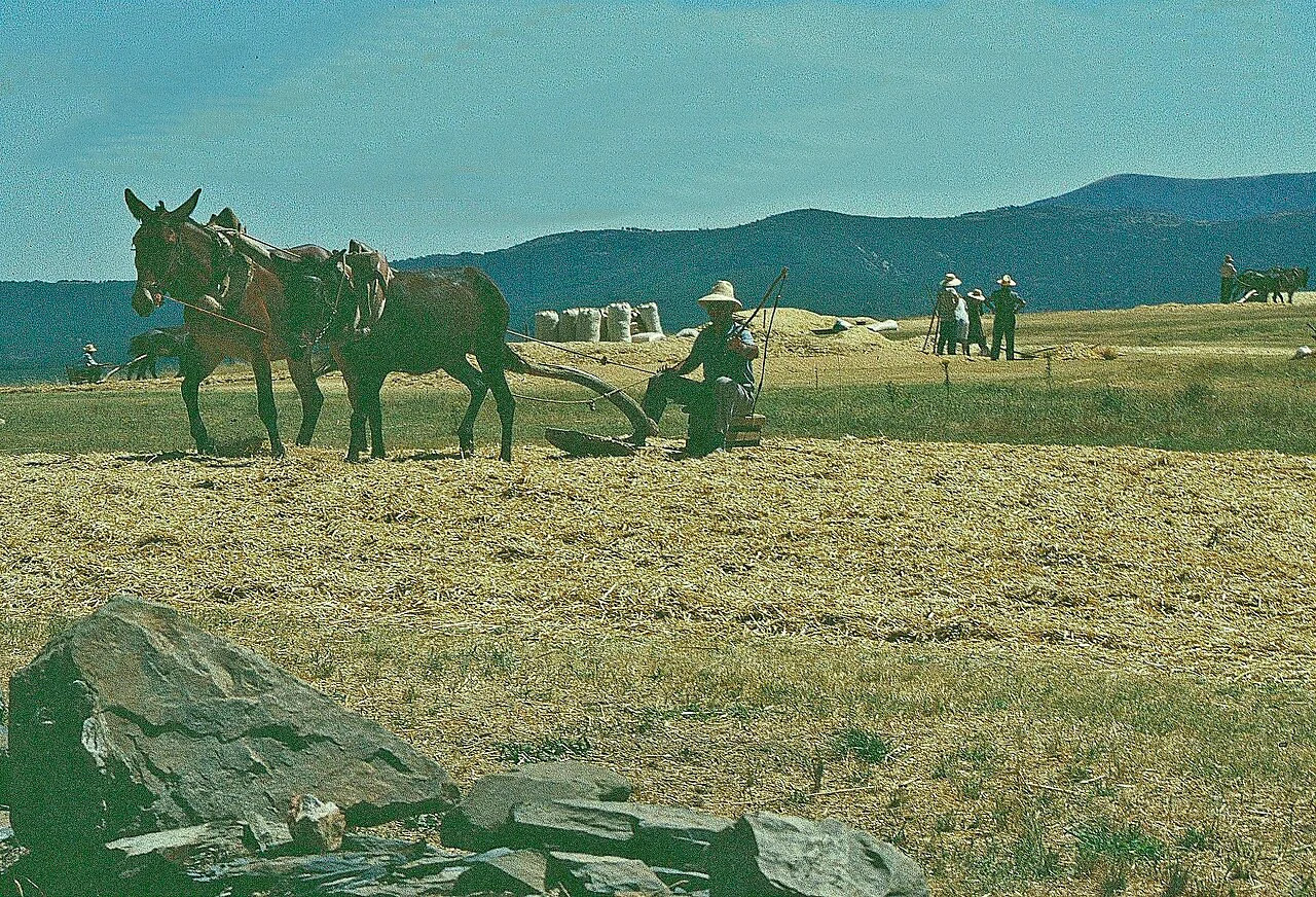 Photo of Serradilla del Llano