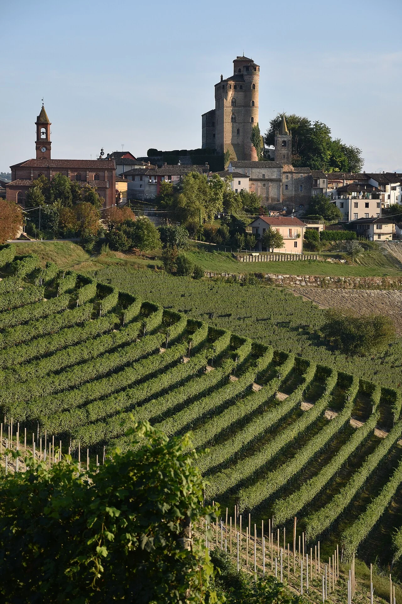 Photo of Serralunga d'Alba