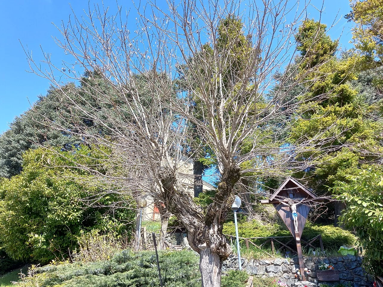 Photo of Serramazzoni