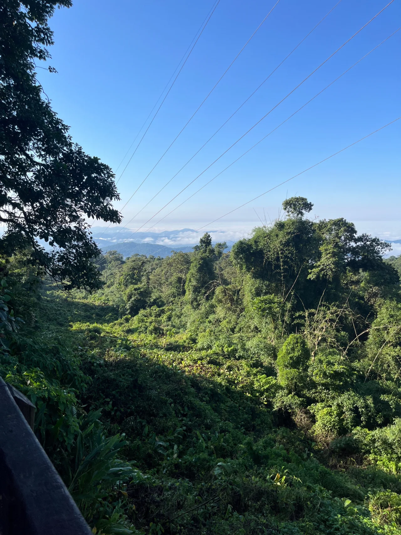 Photo of Sete Barras