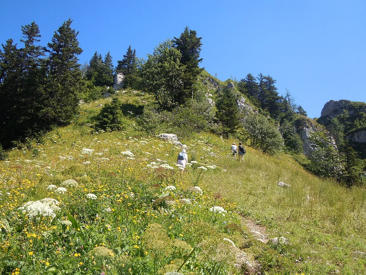 Photo of Setor Complementar de Indústria e Abastecimento