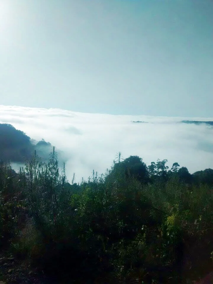 Photo of Severiano de Almeida