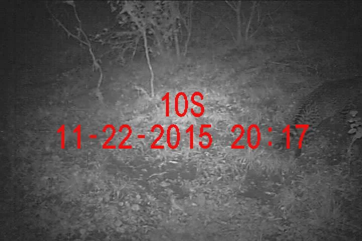 Photo of Shādīpur Julāna