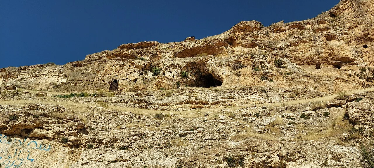 Photo of Shāhīn Dezh