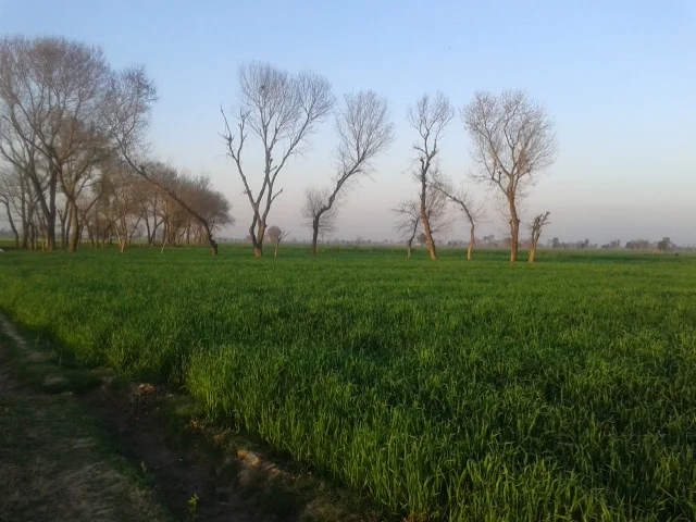 Photo of Shakargarh