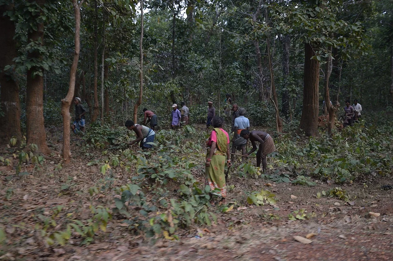 Photo of Shaktinagar