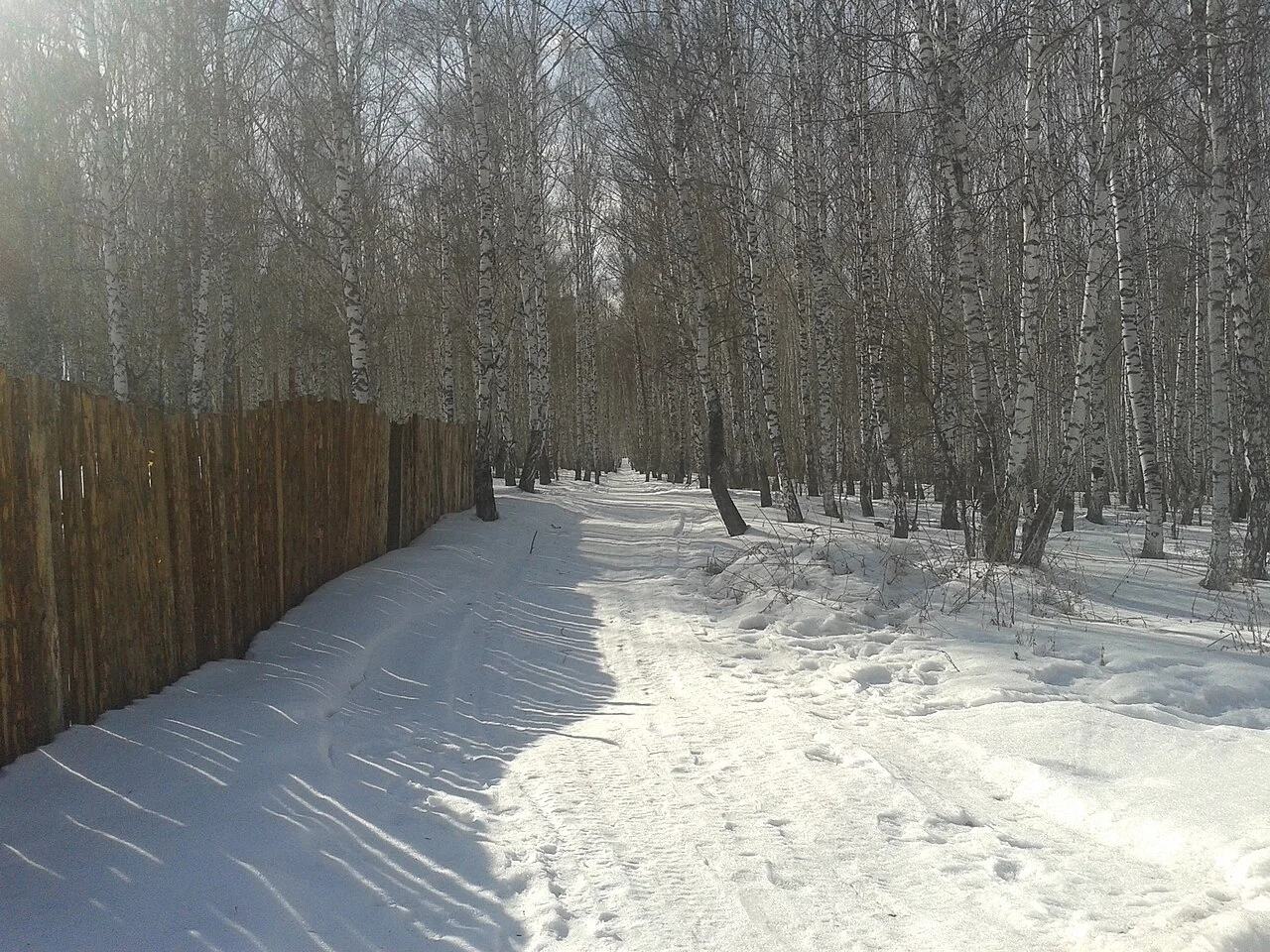 Photo of Shalinskoye