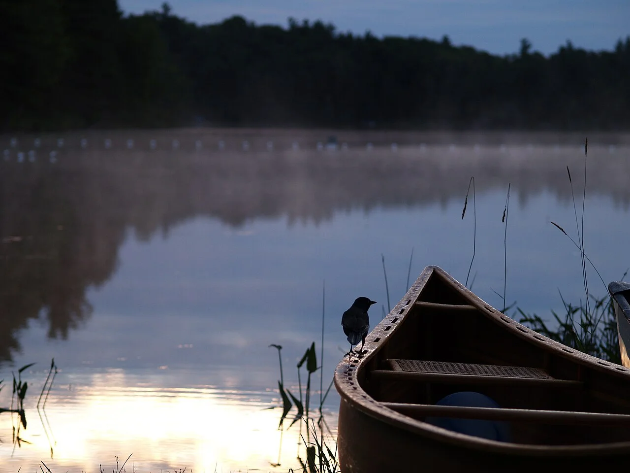 Photo of Sharbot Lake