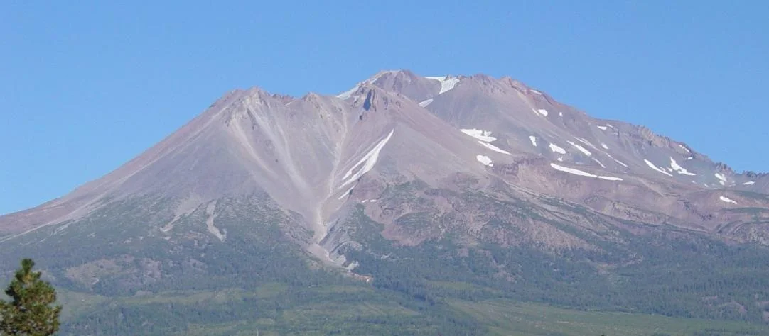Photo of Shasta