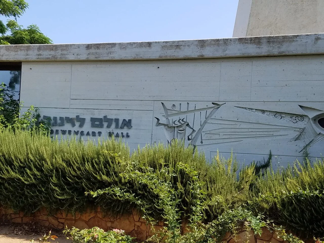 Photo of Shave Tsiyyon