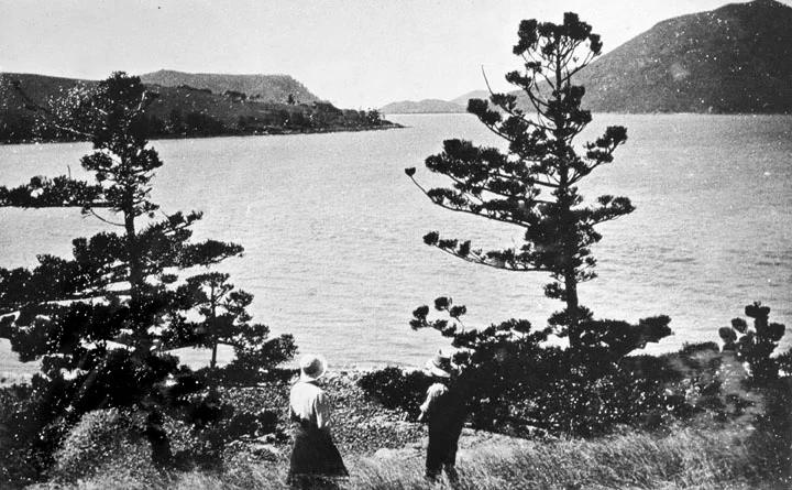 Photo of Shaw Heights