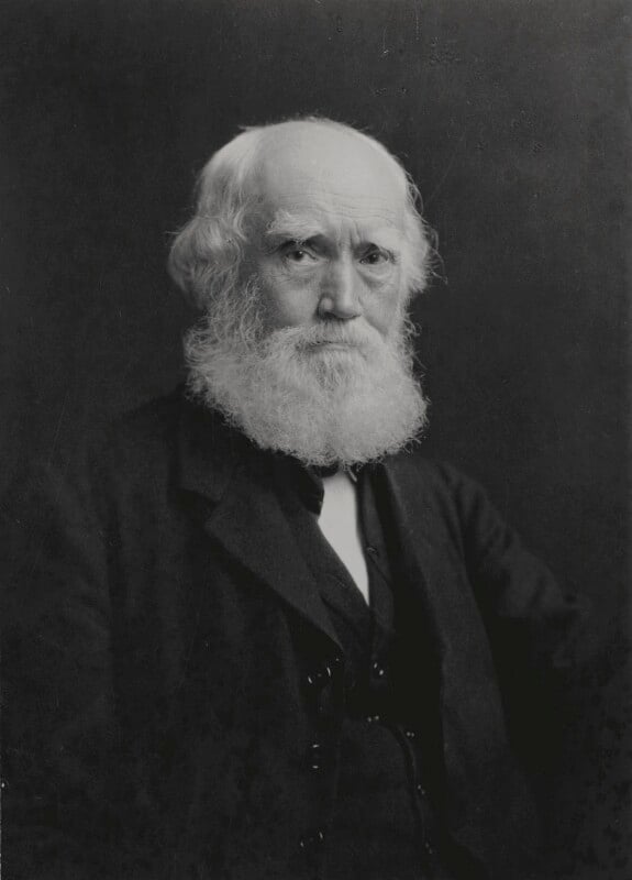 John Lewis (1836–1928). Founder of the John Lewis department store. Photograph by Elliott &amp; Fry, purchased by the NPG 1996. Bromide print.