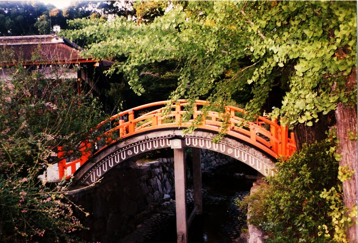 Photo of Shimogamo