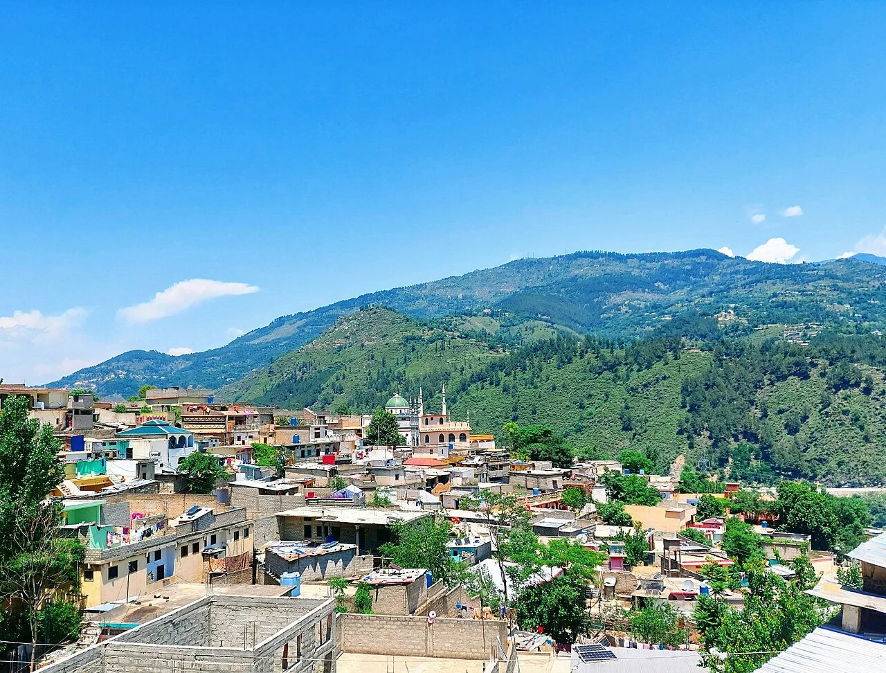 Photo of Shingli Bala