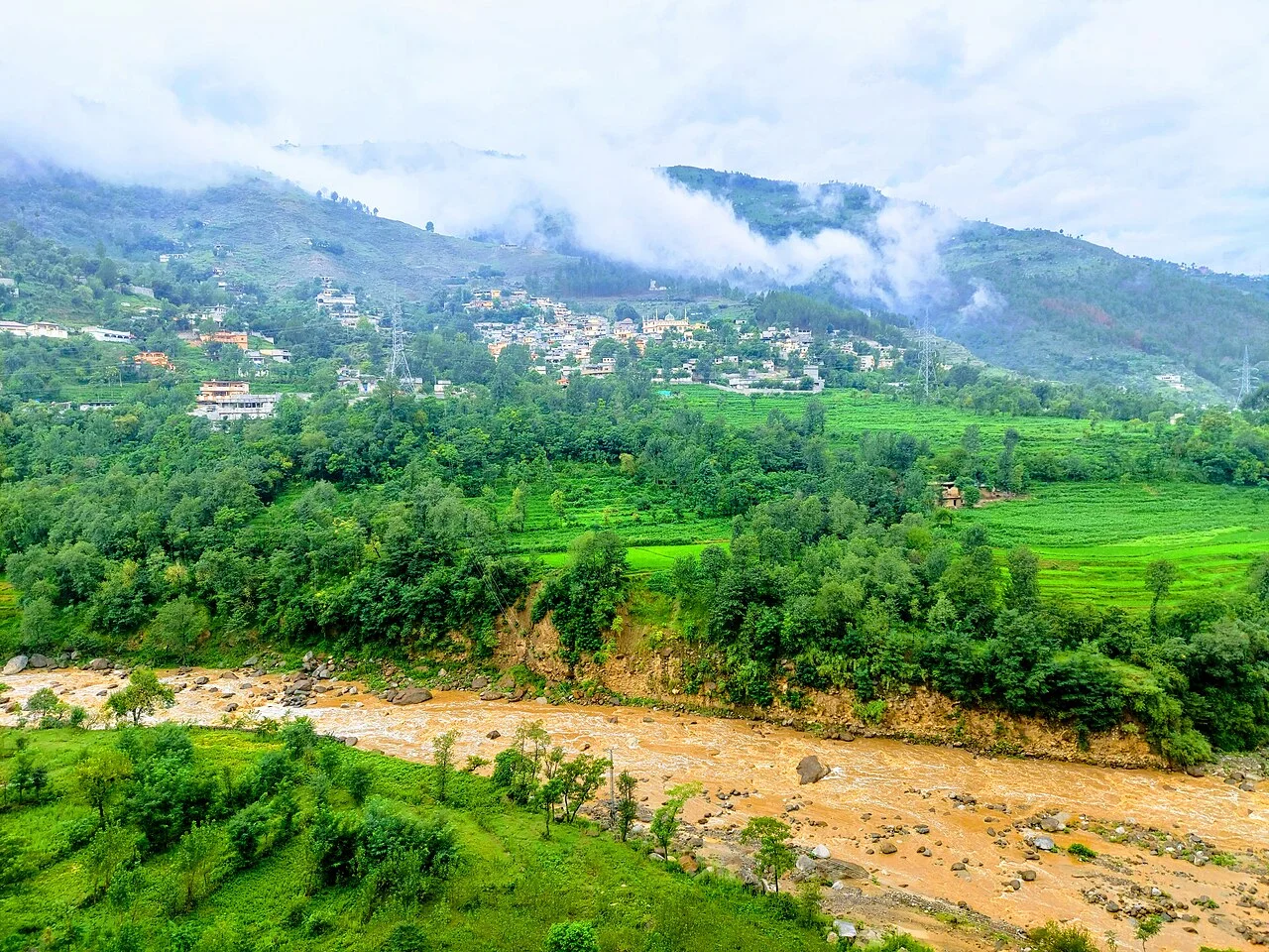 Photo of Shingli Bala