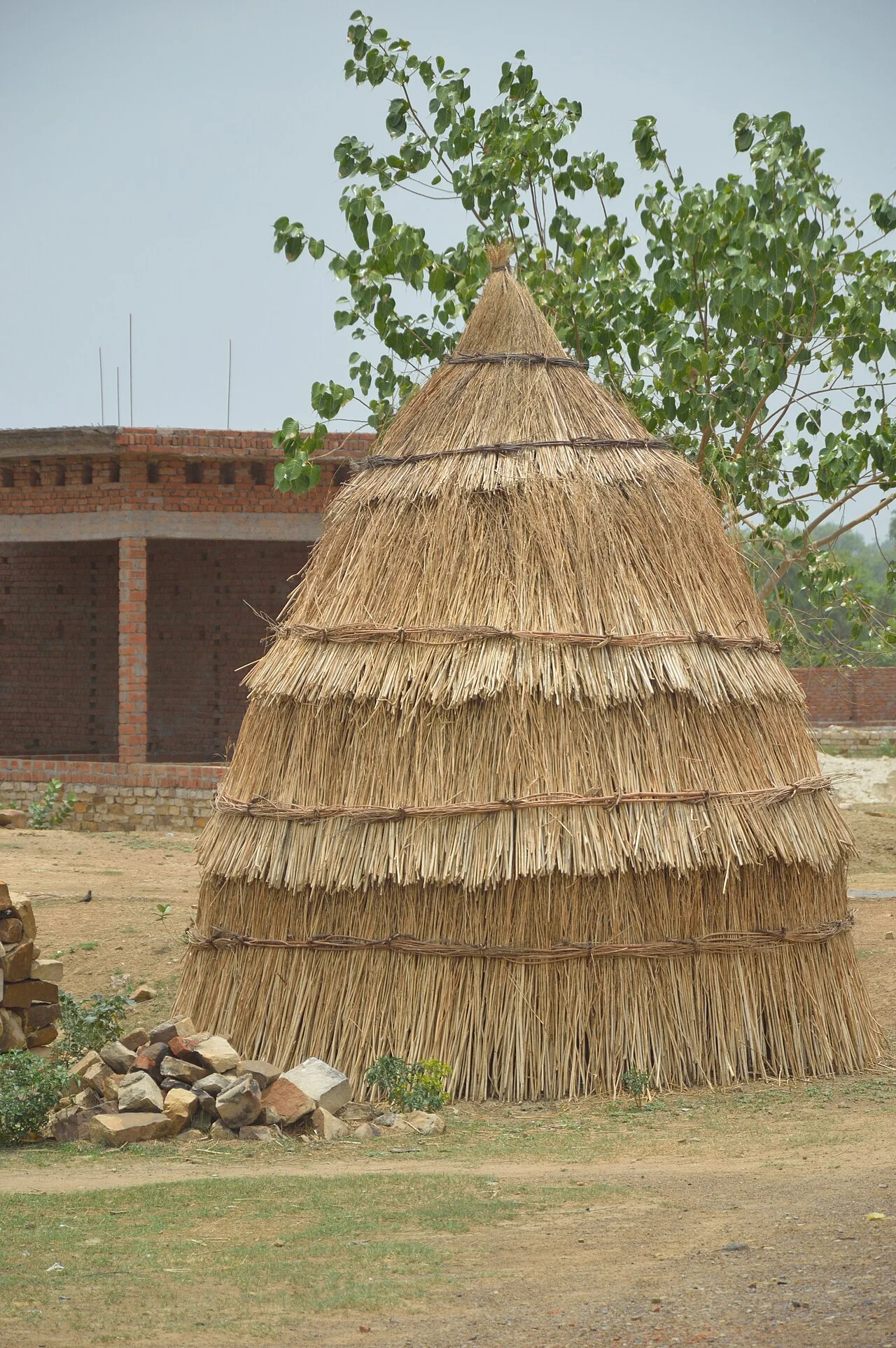 Photo of Shivrājpur