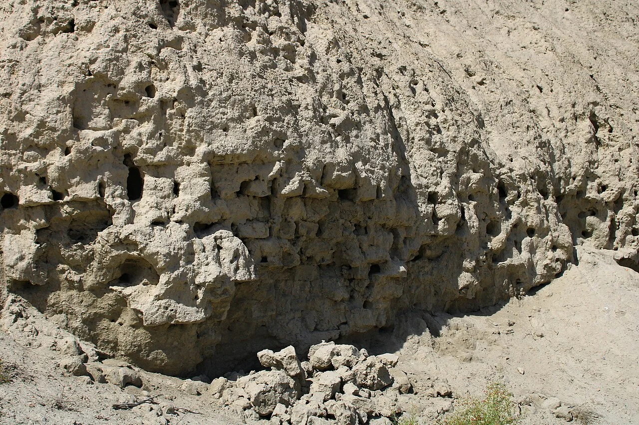 Photo of Shofirkon Shahri