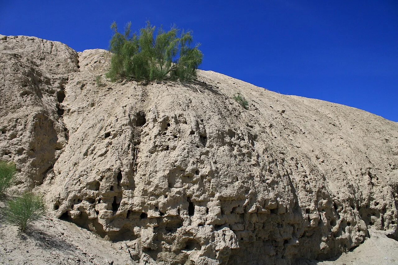 Photo of Shofirkon Shahri