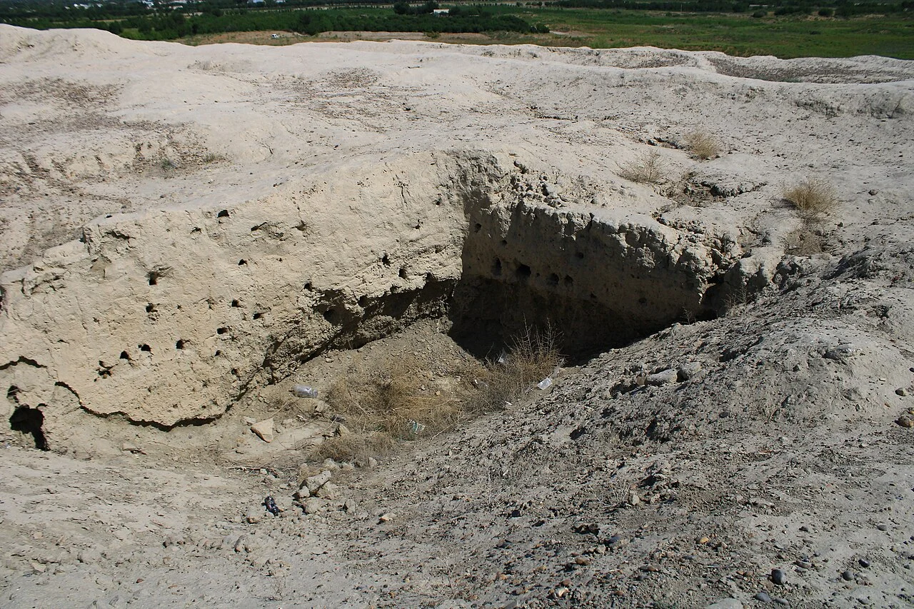 Photo of Shofirkon Shahri