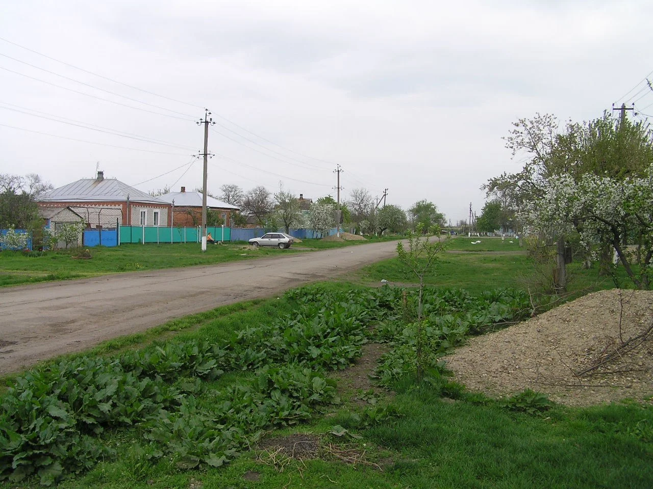 Photo of Shovgenovskiy