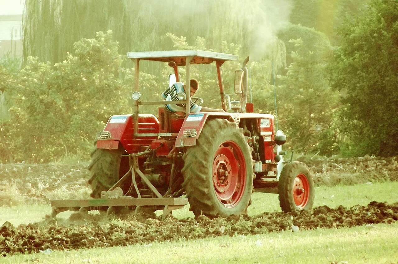 Photo of Shubrākhīt