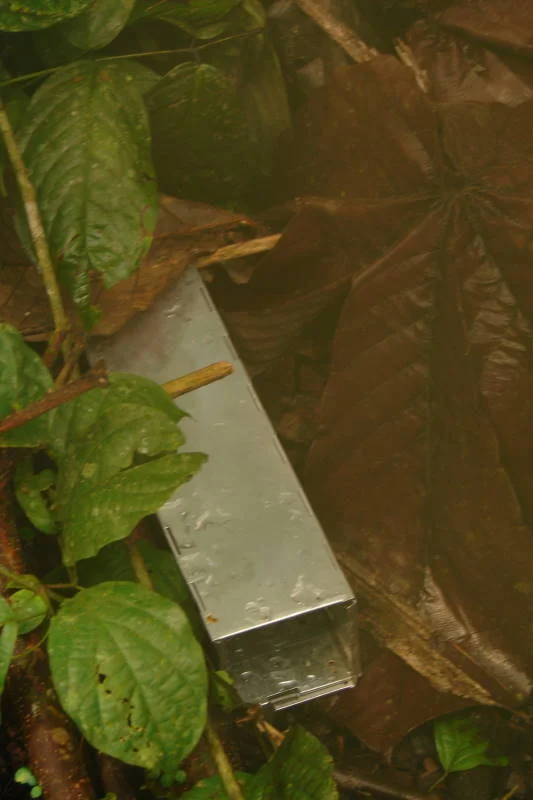 Photo of Shushufindi