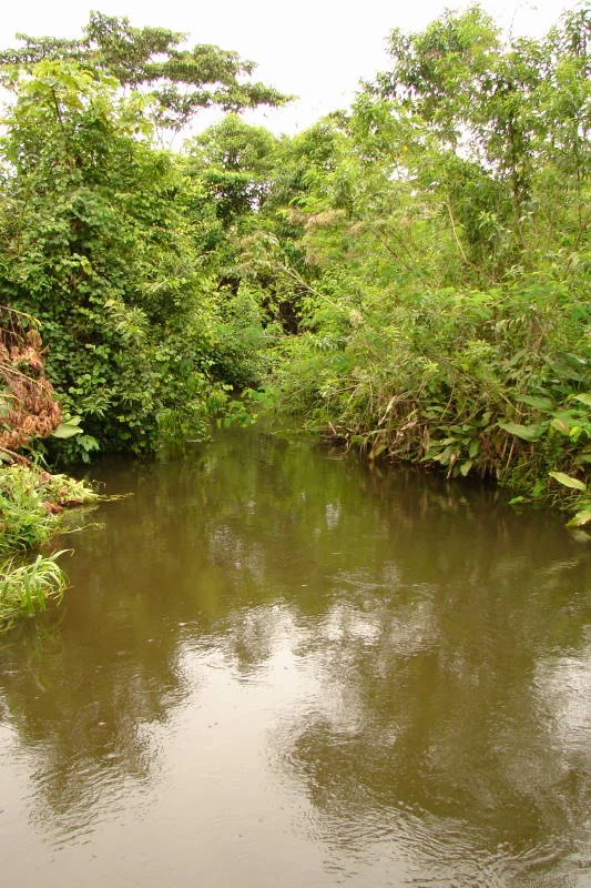 Photo of Shushufindi