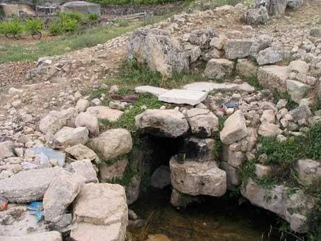 Photo of Shuyūkh al ‘Arrūb