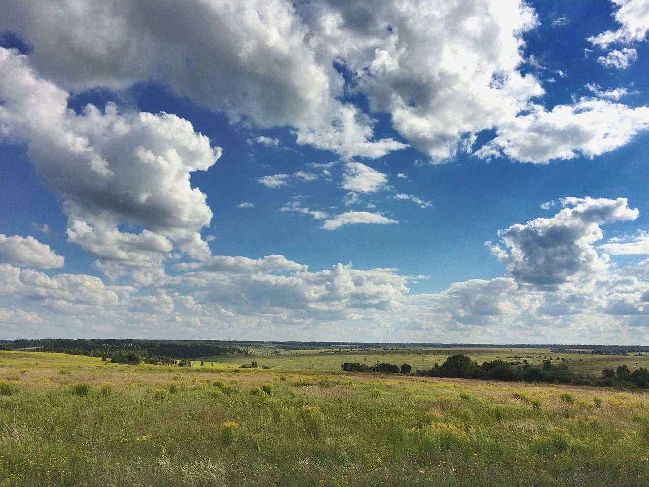 Photo of Shvartsevskiy