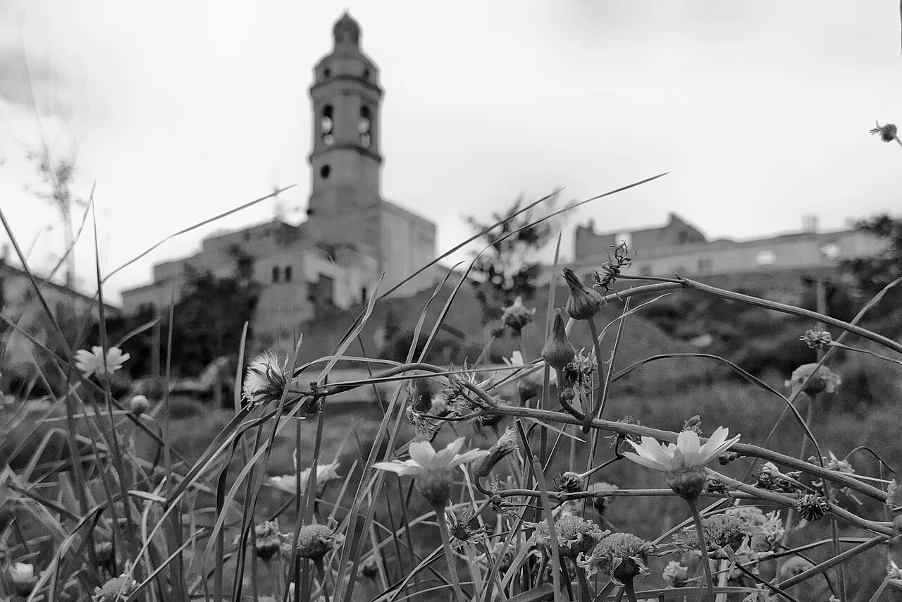 Photo of Sidi Abdelli