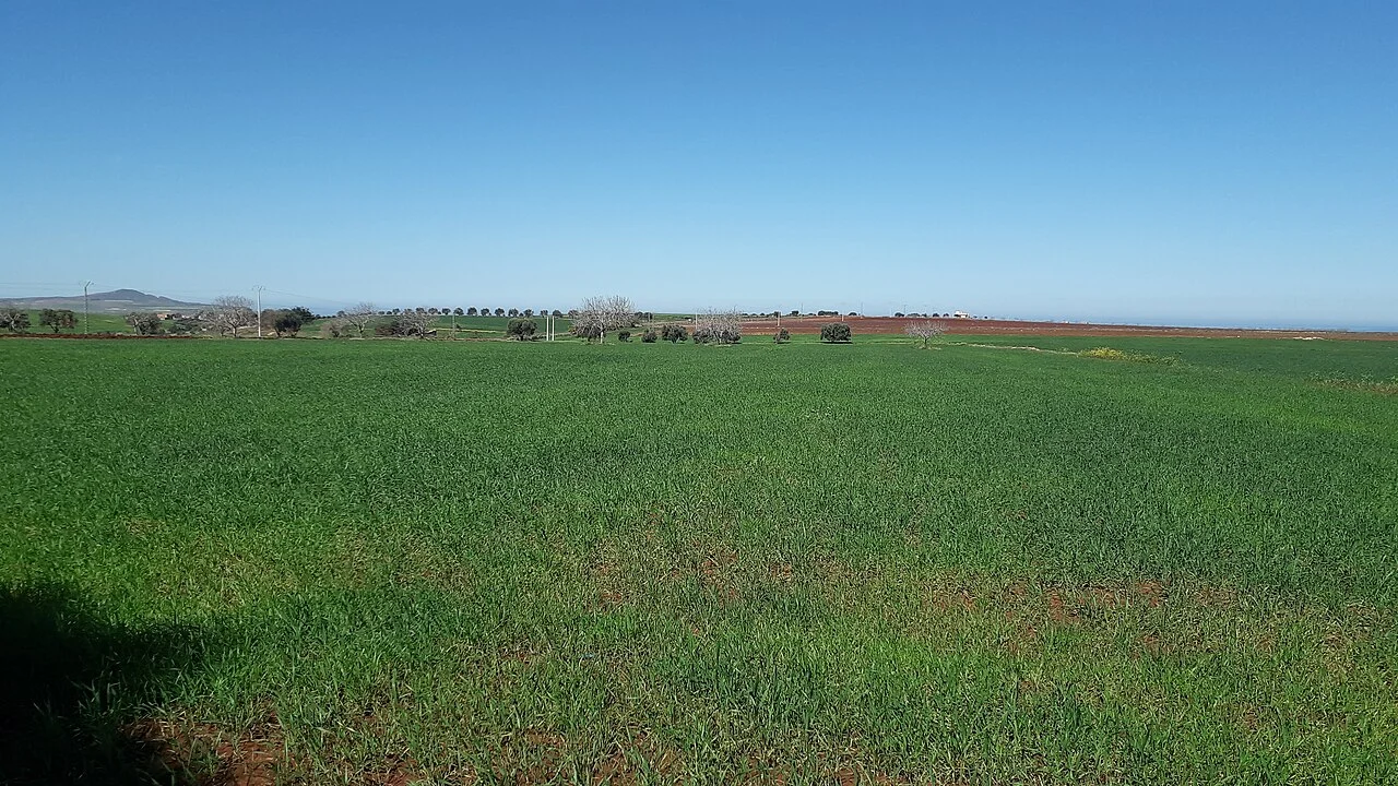 Photo of Sidi Ben Adda