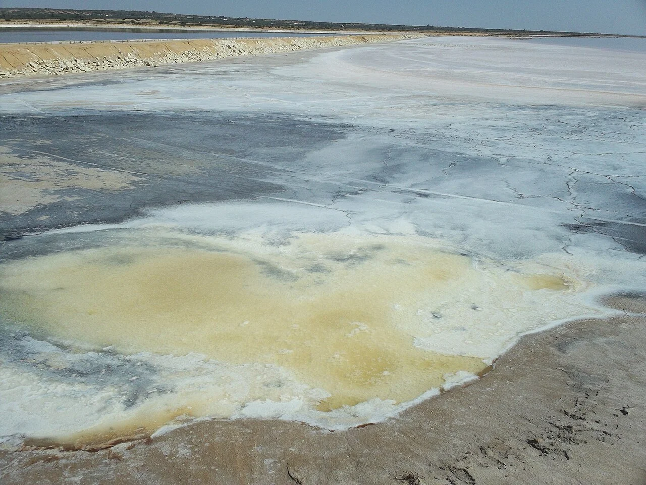 Photo of Sidi el Hani