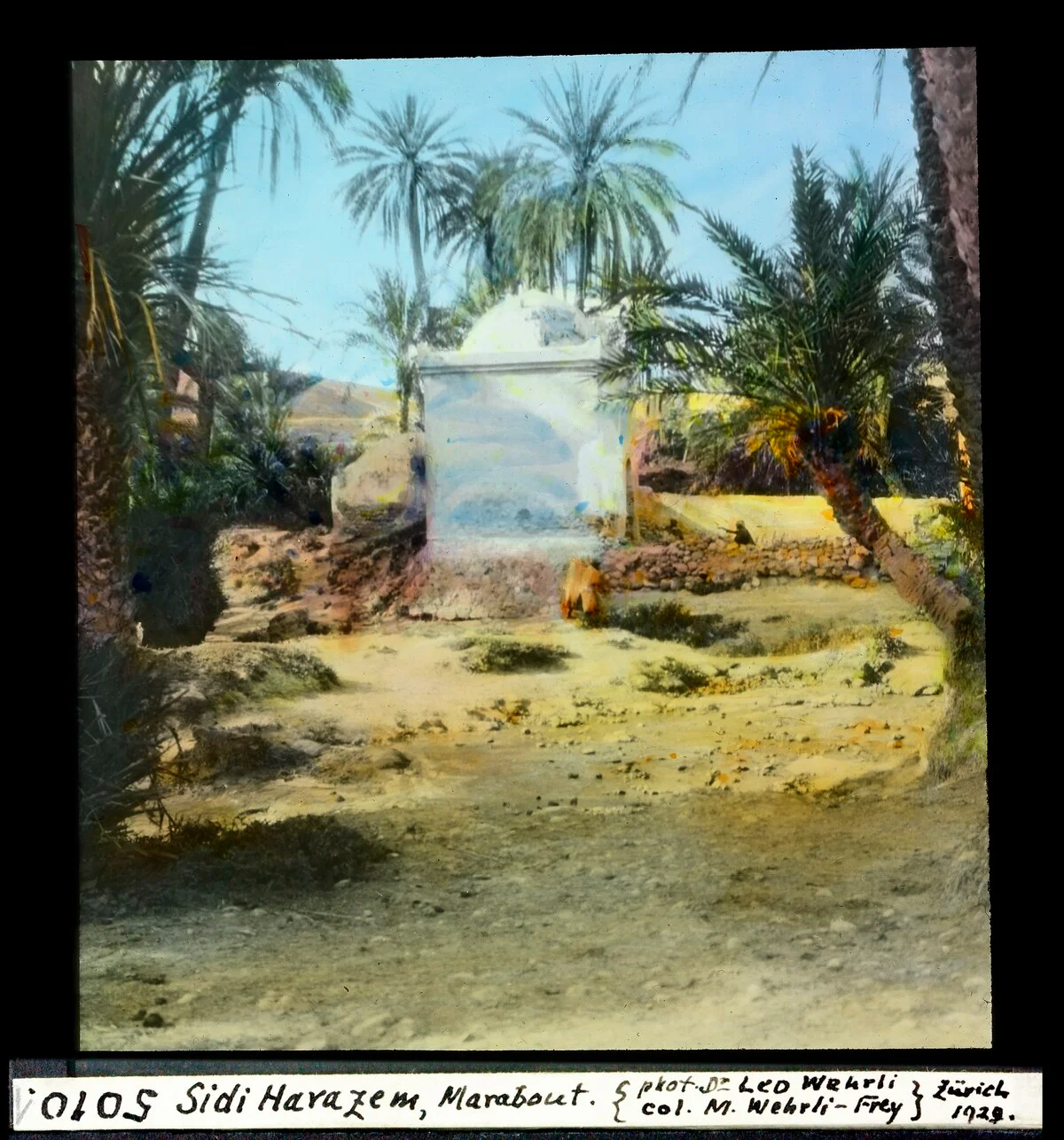 Photo of Sidi Harazem