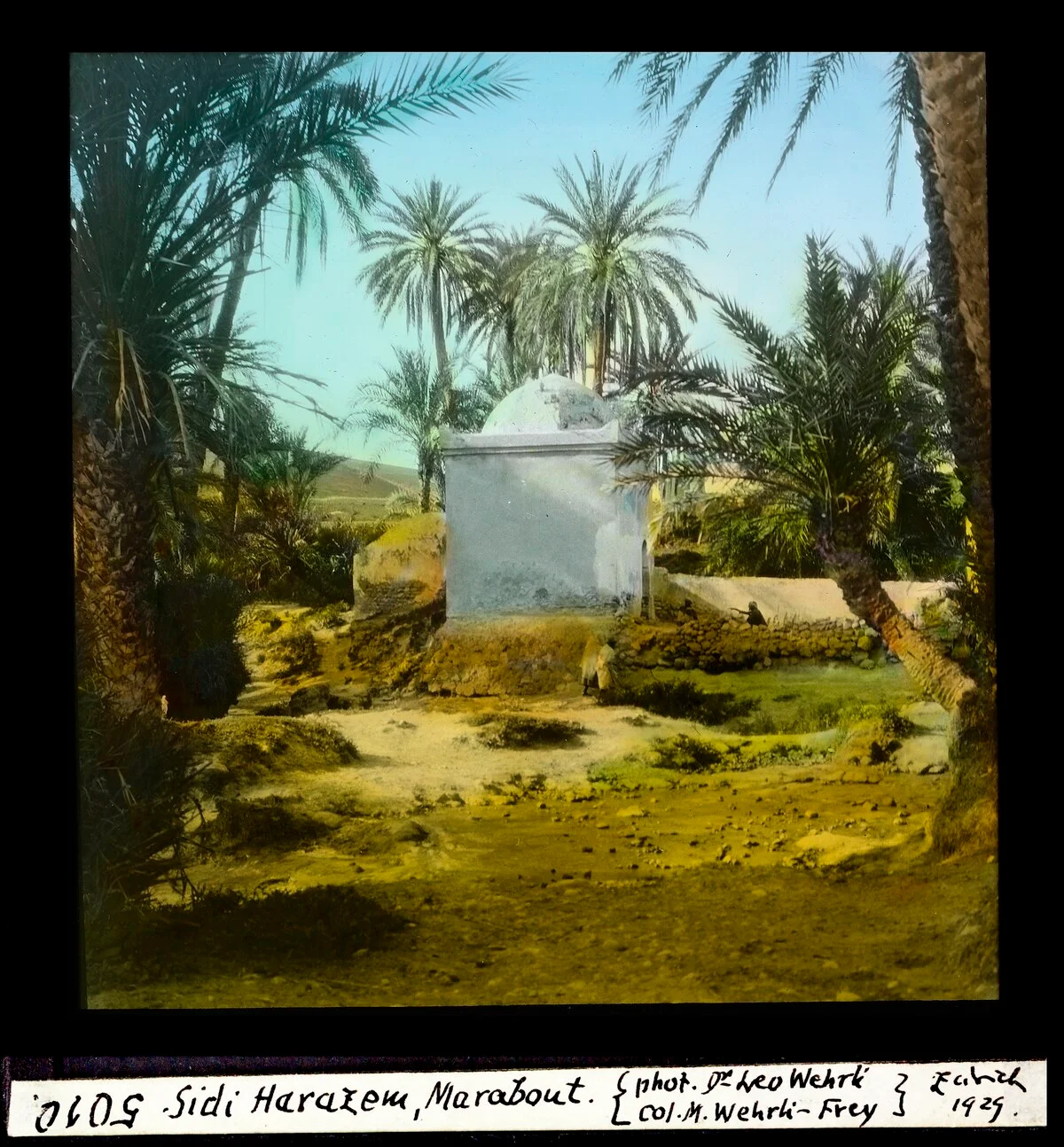 Photo of Sidi Harazem