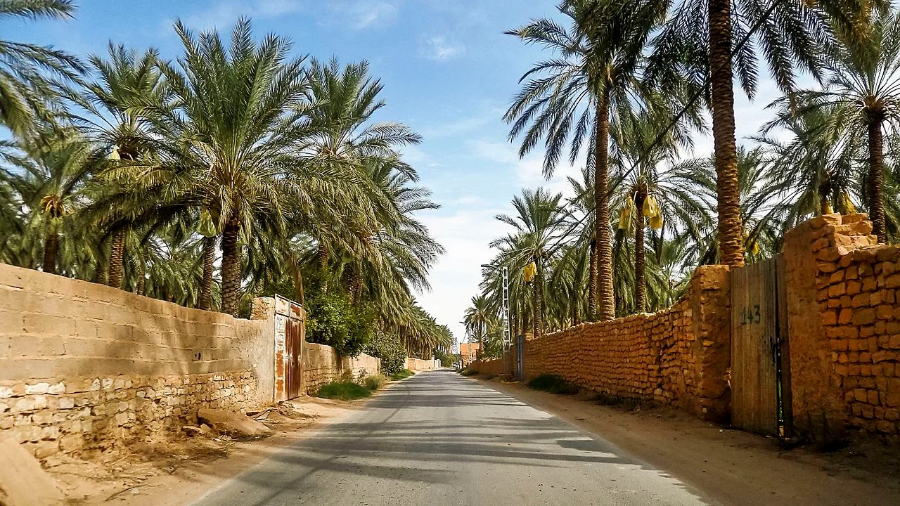 Photo of Sidi Khaled