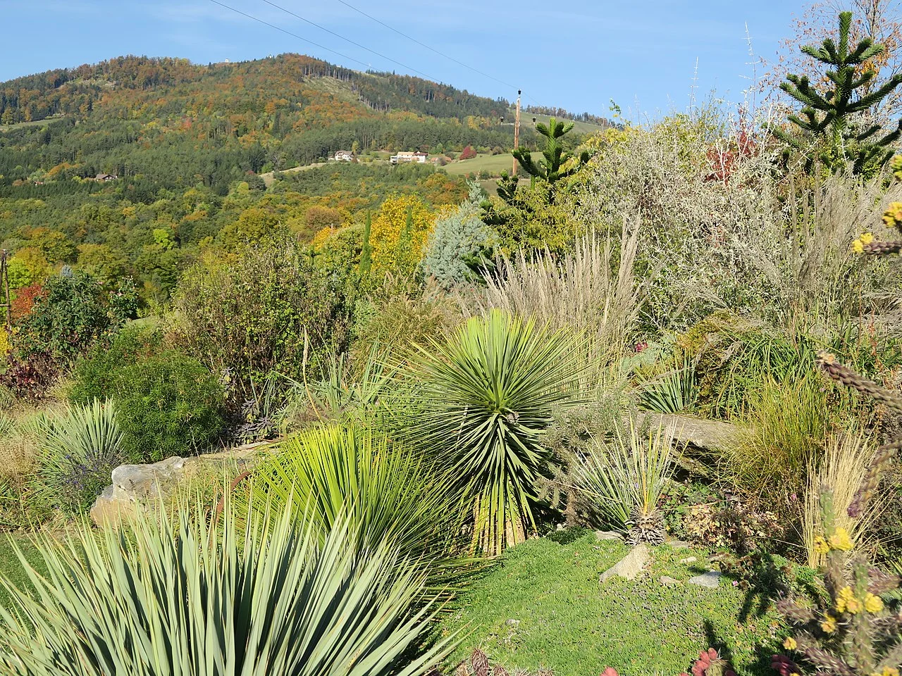 Photo of Siegersdorf bei Herberstein