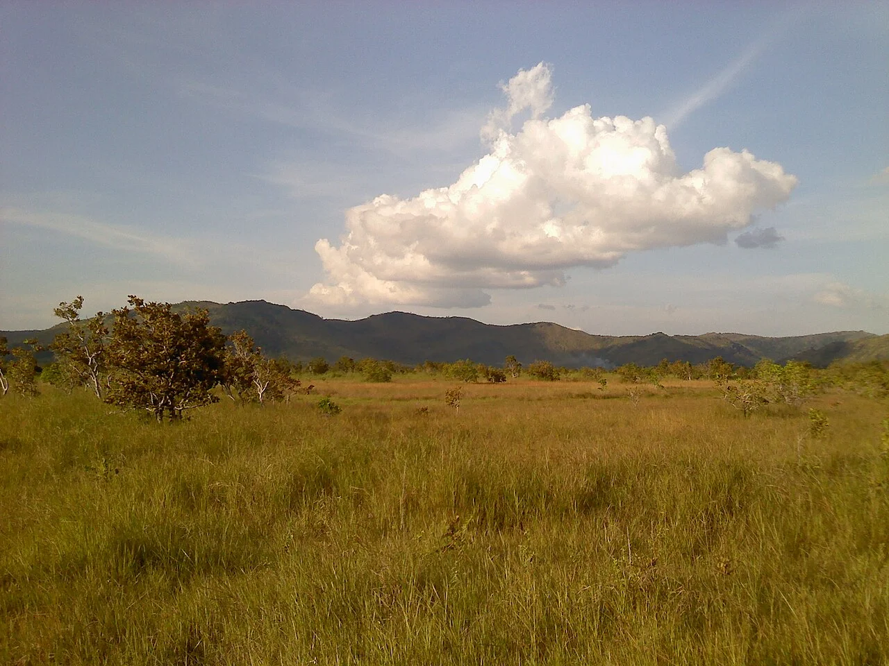 Photo of Sierra Imataca